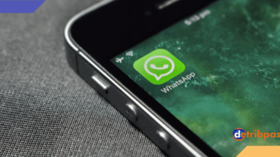 Terbongkar! Kirim Pesan Whatsapp Tanpa Nomor Terpecaya