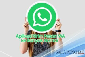 Hebat! Aplikasi Kirim Wa Ke Banyak Nomor Terbaik