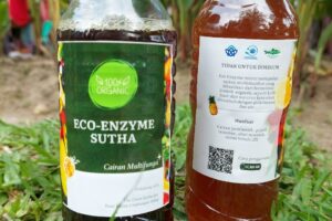 Dahsyat! Media Promosi Visual Produk Eco-enzyme Yang Tepat Adalah Terbaik