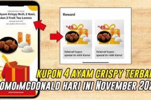 Terbongkar! Cara Pakai Promo Aplikasi Mcd Wajib Kamu Ketahui