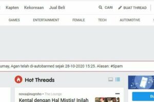 Terungkap Kenapa Email Saya Spam Wajib Kamu Ketahui