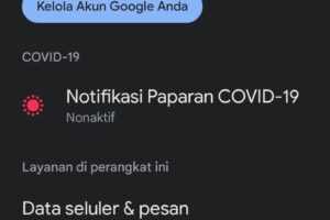 Terungkap Cari Email Saya Sendiri Terbaik