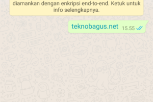 Penting! Kirim Pesan Whatsapp Ke Banyak Nomor Tanpa Simpan Terbaik